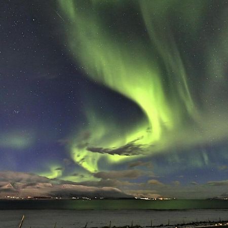 Amma Guesthouse Akureyri Exteriör bild